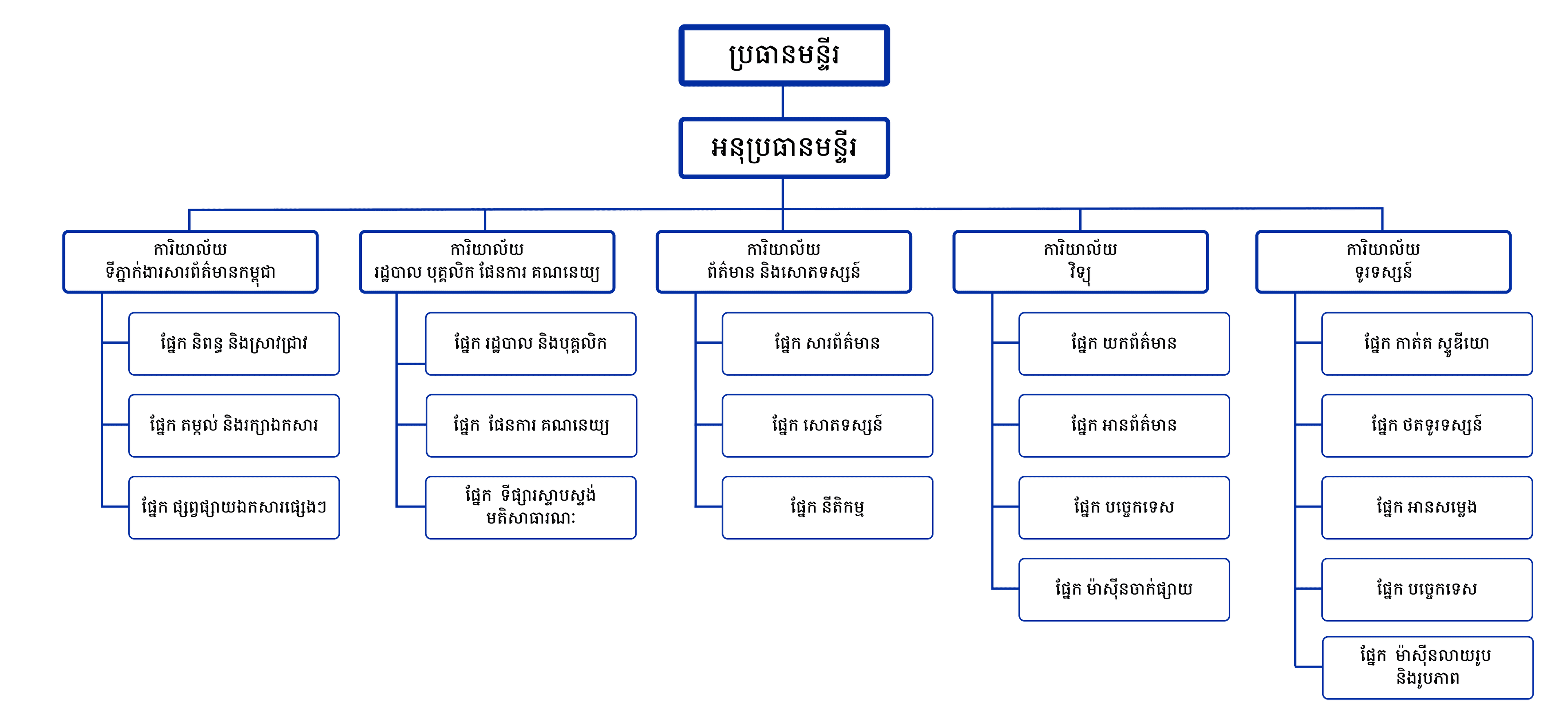 Organizational Structure