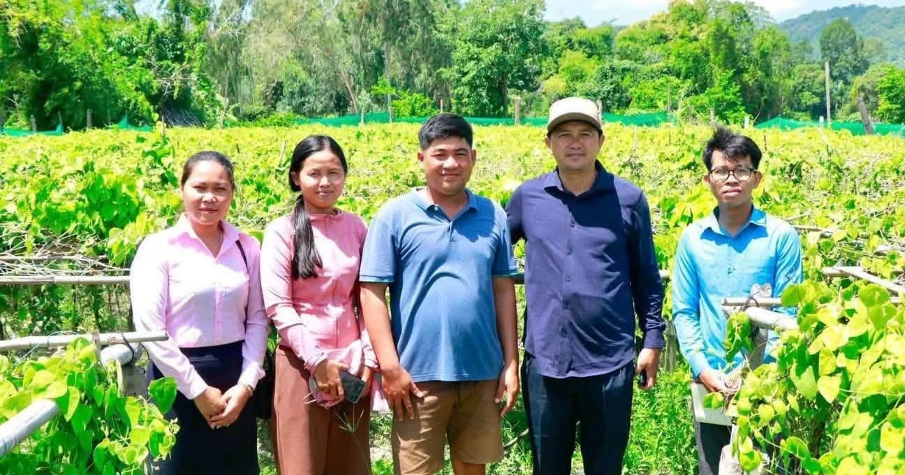 លោកអភិបាលស្រុកគិរីវង់ អញ្ជើញចុះពិនិត្យការដាំដុះ “ដំណាំព្រះក្រុង”របស់កសិករ ដែលកំពុងមានទីផ្សារល្អទាំងក្នុង និងក្រៅប្រទេស