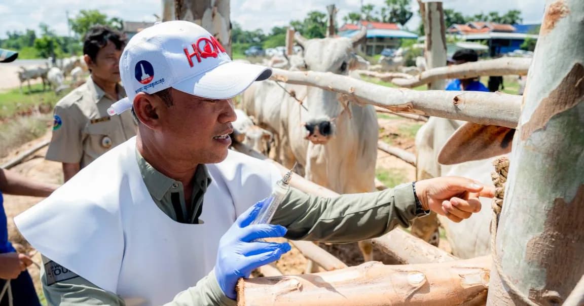 ឯកឧត្តម វ៉ី សំណាង អភិបាលខេត្តតាកែវ បើកយុទ្ធនាការចាក់វ៉ាក់សាំងបង្ការជំងឺឆ្លងលើសត្វគោ-ក្របី ជូនប្រជាពលរដ្ឋដោយឥតគិតថ្លៃ នៅក្នុងស្រុកព្រៃកប្បាស